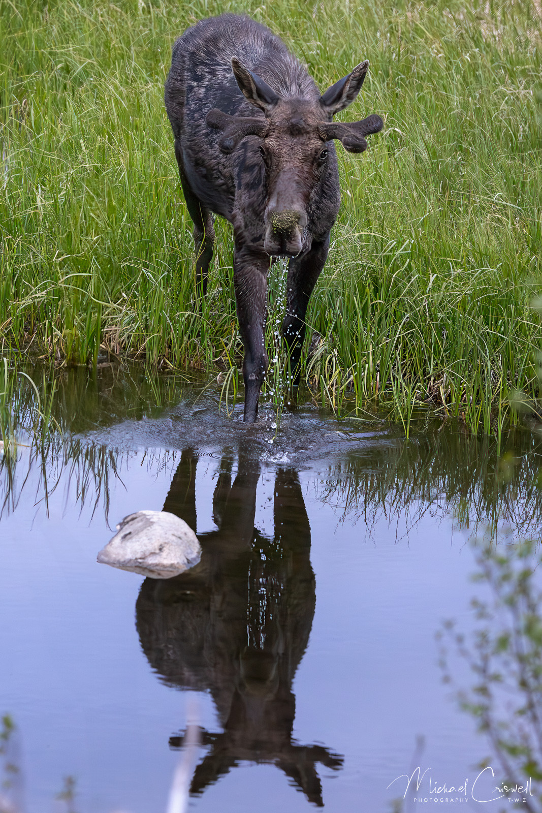 Reflect