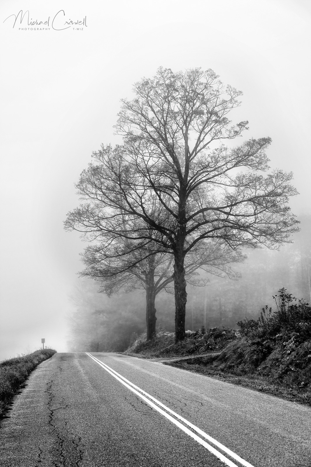 Into The Fog