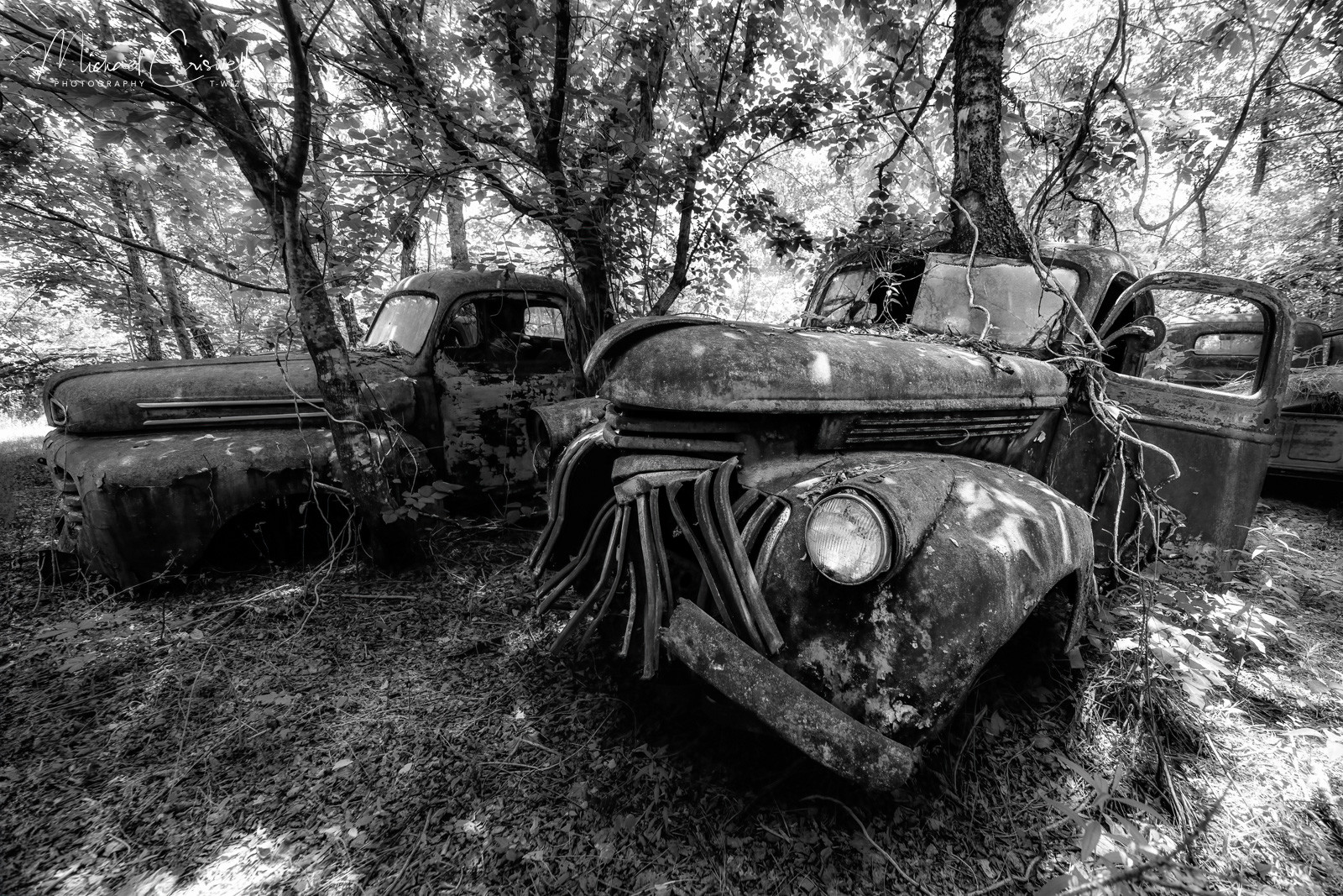 Overgrown