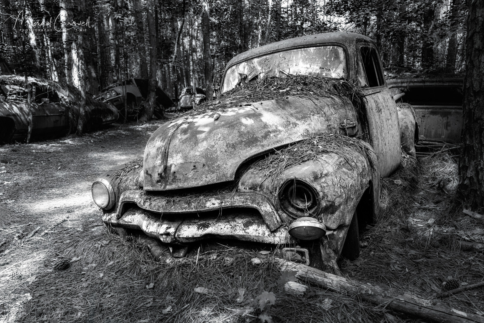55 Chevy 3100
