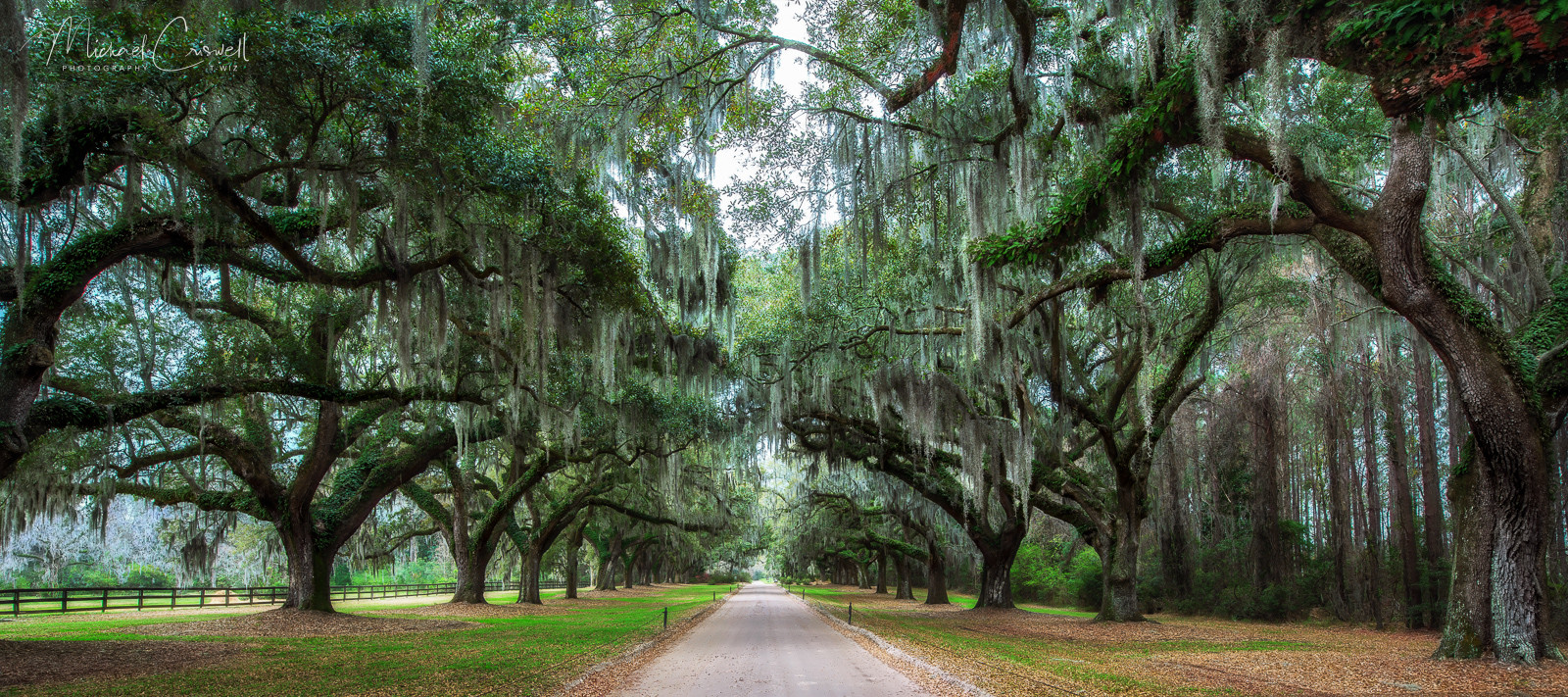 Boone Hall