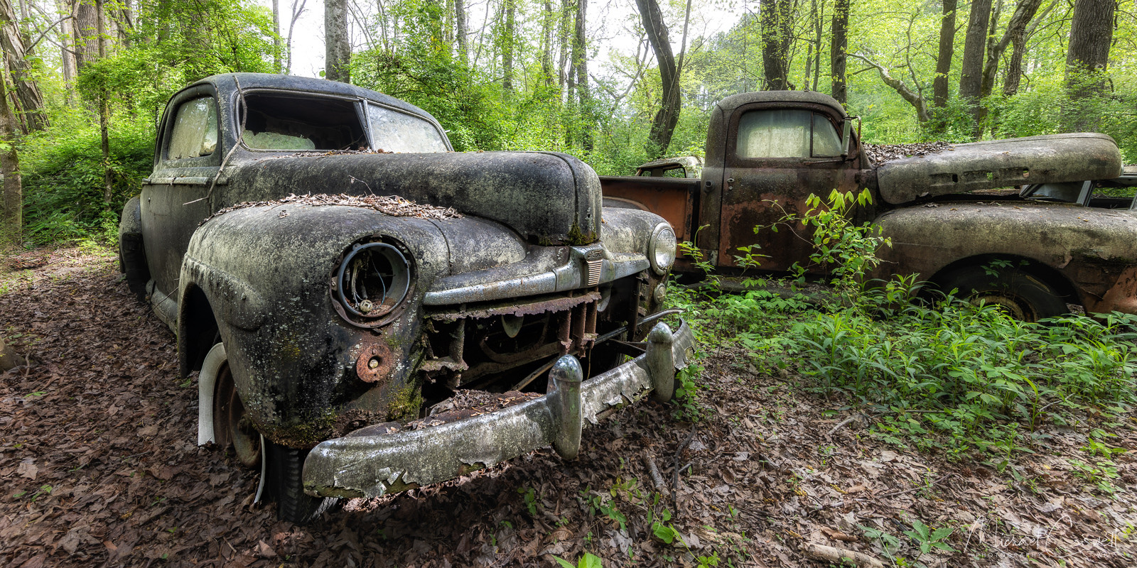 Old Fords