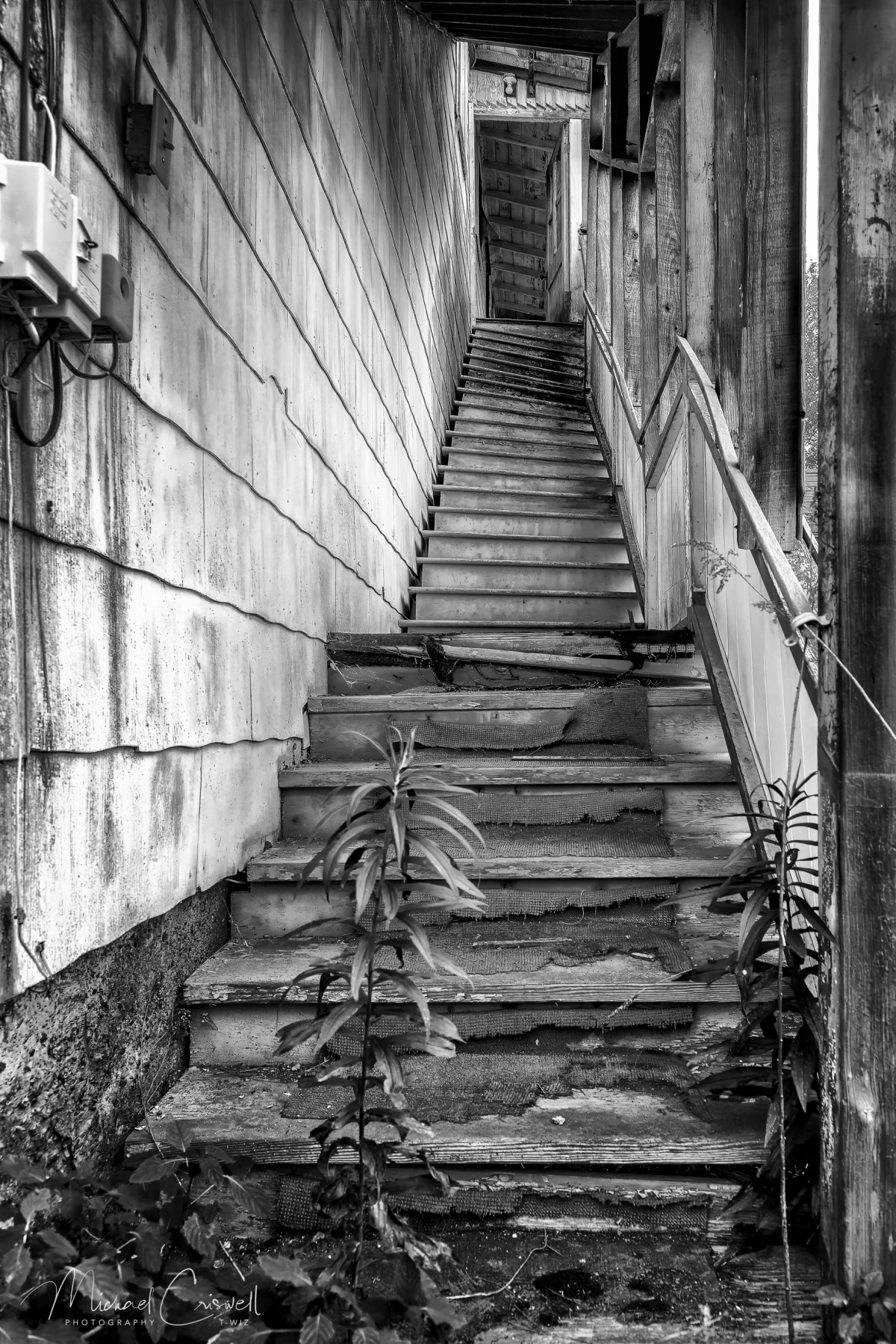 Watch Your Step